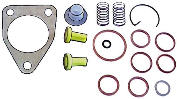 080059 - Valve Repair Kit