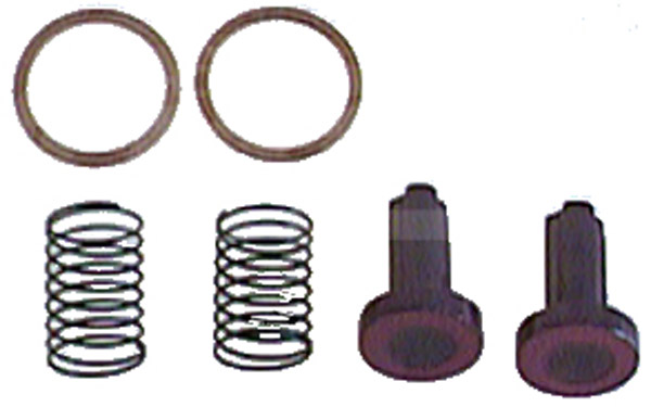 080064 - Valve Repair Kit