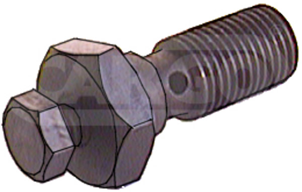 080675 - Hollow Screw