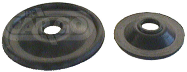 080752 - Diaphragm
