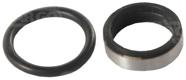 081129 - Injector Seal Kit